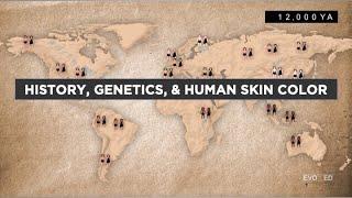 Evo-Ed History Genetics and Human Skin Color