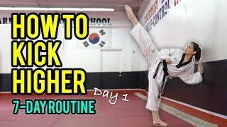 How to Kick Higher Stretches & Drills Day 1 Routine