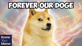 RIP Doge Kabosu the Beloved Shiba Inu of the Doge Meme Has Crossed The Rainbow Bridge