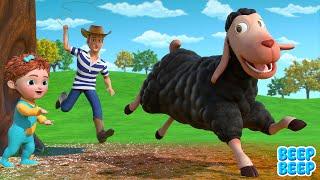 Baa Baa Black Sheep  Sheep Song  Beep Beep Kids Songs & Nursery Rhymes