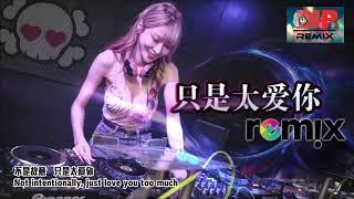 只是太爱你 - Zhi Shi Tai Ai Ni - Just Love You Too Much【DJ PARTY REMIX 2019】