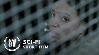 The Line  Sci-Fi Short Film About a Young Girl Trying To Cross a Legendary Border