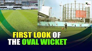 How does the Oval wicket looks like ahead of the WTC Final?  WTC Final 2023