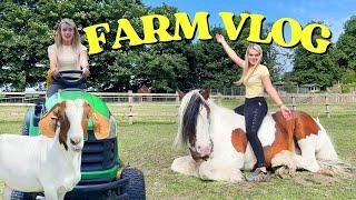 ESCAPING GOATS & BACK ON THE FARM  VLOG  LilPetChannel