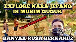 NARA KOEN DI MUSIM GUGURBANYAK RUSA BERKAKI 2 CANTIK PULA