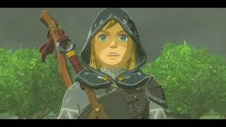 Lost Memory Found  Link Farts during Cerimony