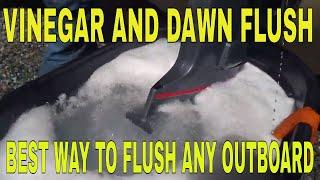 Flush your outboard at home better than Salt Away Flush Vinegar and Dawn method