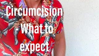 What can you expect in the first 2 weeks after being circumcised