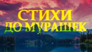 Душевный стих о любви Случайностей не бывает Дмитрий Кудрявцев Читает Леонид Юдин