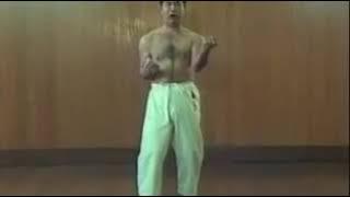 GOJU RYU SANCHIN KATA by MORIO HIGAONNA