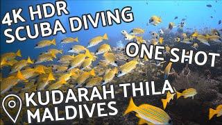 4K HDR Scuba Diving - One Shot - Kudarah Thila South Ari Atoll Maldives