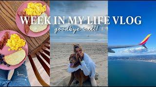 WEEK IN MY LIFE IN CALIFORNIA  business calls my last days with roomies + flying home to MD