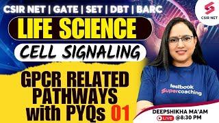 CSIR NET GATE SET Life Science  Cell Signaling GPCR Related Pathways PYQs 01 Deepshikha Maam
