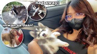 Nakakita Ako Ng Puppy Na Iniwan Sa Daan + Blossom Goes To The Vet AGAIN  Sai Datinguinoo