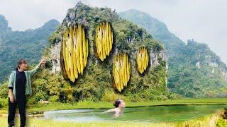 The girl harvests wild honey and bathes in the cool forest stream innocently.