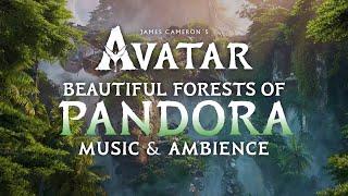Avatar  Forests of Pandora Music & Ambience in 4K w @videogameworlds