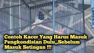 CONTOH KACER YANG HARUS DIKONDISIKAN DULU SEBELUM DISETING 