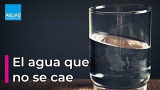 El AGUA que NO se cae  Experimentos