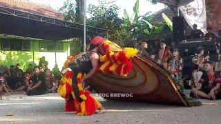 HOREG MAS BOWO SOLAH PEMBARONG SUPER ROSO NYOKOT REOG PONOROGO LIVE DI DESA SEDARAT BALONG