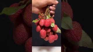 Lychee Juice Asmr #shorts #food #asmr #juice #lychee #asmrsounds #asmrkitchenfood #recipe