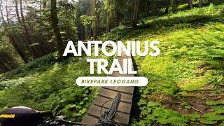 Antonius Trail Enduro Line Bikepark Leogang full run Level Schwarz