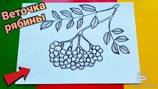 Как нарисовать ВЕТОЧКУ РЯБИНЫ ПОЭТАПНОпростые рисункиHow to draw a sprig of ROWAN in STAGES