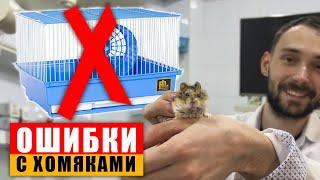 ТОП-20 ошибок владельцев хомяков Об этом вам не расскажут в зоомагазине