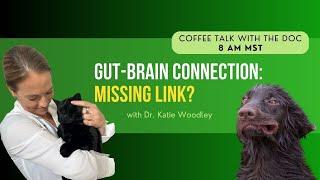 The Gut-Brain Connection Why It Matters for Your Beloved Pet