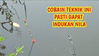 TEKNIK MANCING VIRAL  SELALU DAPAT IKAN NILA INDUKAN #mancing #fishing #mancinglobang #fyp