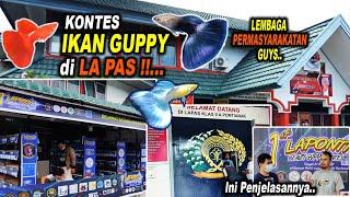 Kontes Ikan Guppy 1st LAPONTI di LAPAS Lembaga Permasyarakatan