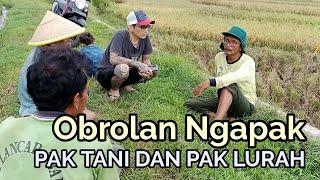 Obrolan Ngapak Kades dan Petani di Sawah