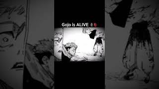 Gojo is BACK Chapter 269 Leak