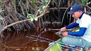 Pecah konsentrasi  saat pancing di gasak  gila-gilaan - Mancing di Sungai hutan pedalaman