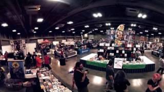 CGF 2016 - 360 video