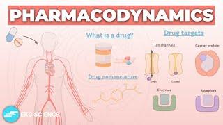 Introduction to Pharmacodynamics  Pharmacology