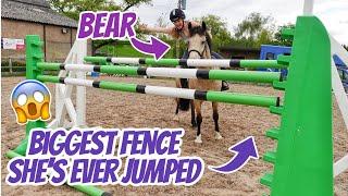 BEARS LAST JUMP  The biggest my pony has EVER jumped