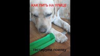 Как пить на улице.    How to drink outside