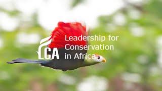 Biodiversity and conservation in Angola by Michael Mills