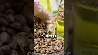 7 Surprising Benefits of Seed Oils You Need to Know  #shorts #seedoils  #facts