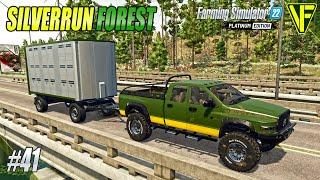 A Change of Direction  Silverrun Forest  Farming Simulator 22