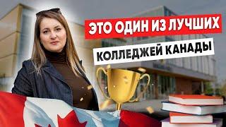 Полный обзор одного из лучших колледжей Канады. Seneca Polytechnic