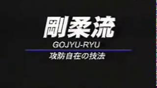 3 Major Schools of Okinawa Karate   Uechi ryu Goju ryu Shorin ryu Vol 2 z7tVVB6UoTY