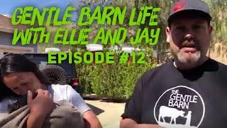 Gentle Barn Life - Episode 12 Season Finale