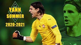 Yann Sommer 20202021 ● Best Saves in Champions & Nations League  HD