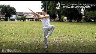 Five Stance Form 五步拳 Wu Bu Quan - Kung Fu Wushu Changquan