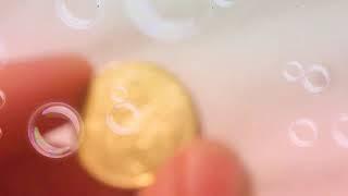 Coin review 2 dollar UNSUB
