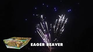 Eager Beaver 2019