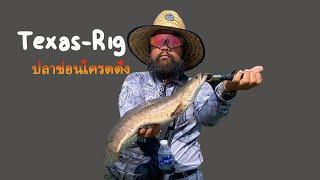 ตกปลาช่อน แบบ  texas - Rig  โครตตึง  #ตกปลาช่อน  #texasrig  #เหยื่อสลาตัน