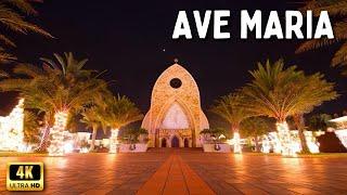 Ave Maria Florida Walking Tour At Night