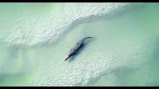 Broome  Western Australia